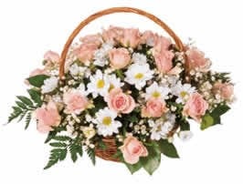 Pink Roses Basket