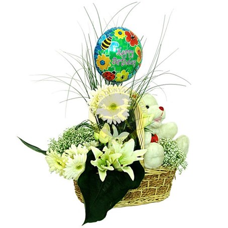 Arrangement for New Born Baby