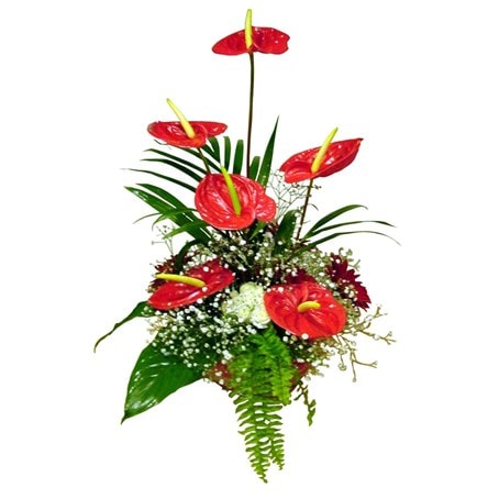 Arrangement of Cut Flowers