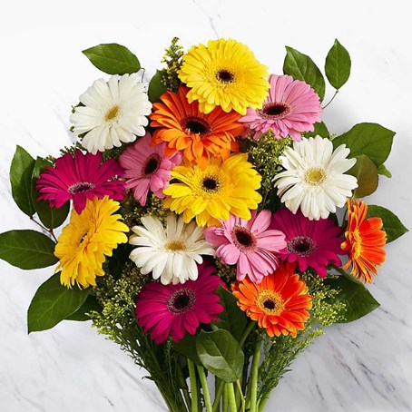 Mixed Gerbera Bunch